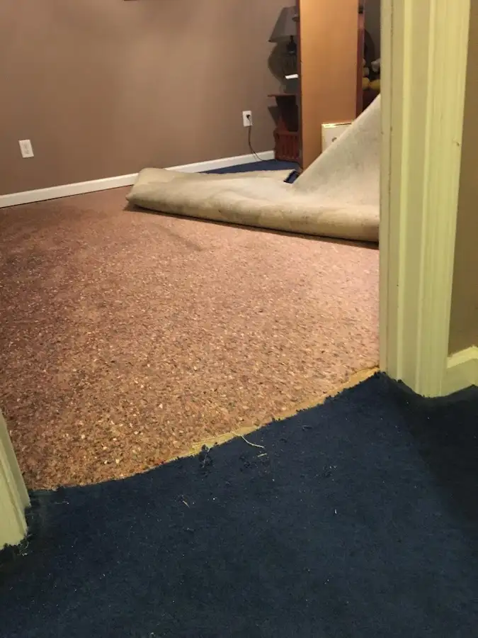 Carpet pad removal revealing water damage during Water Mitigation Services in Elsmere