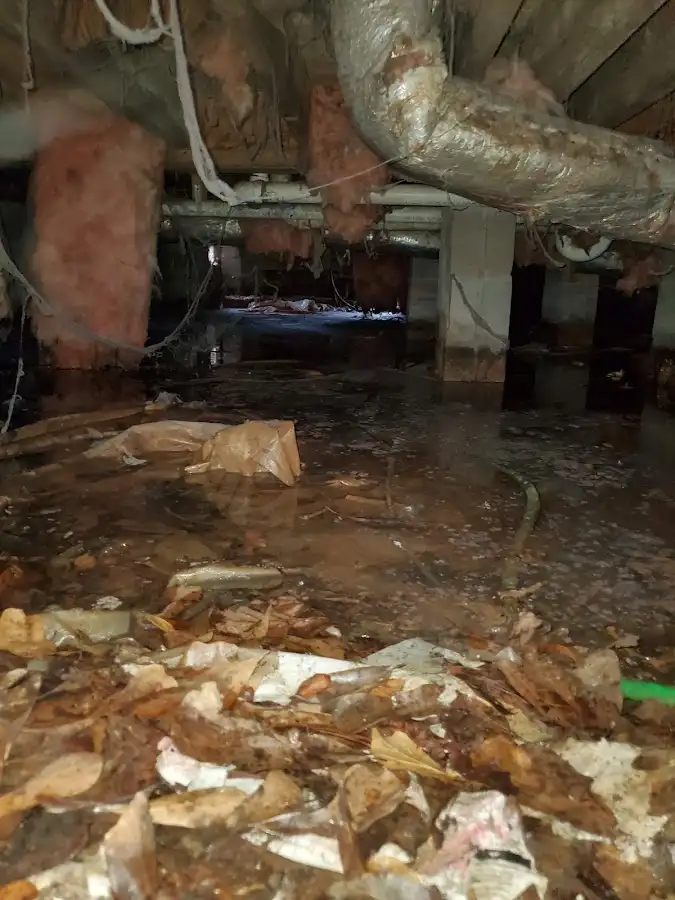 Crawl space flood assessment for Commercial Water Damage Restoration in Elsmere